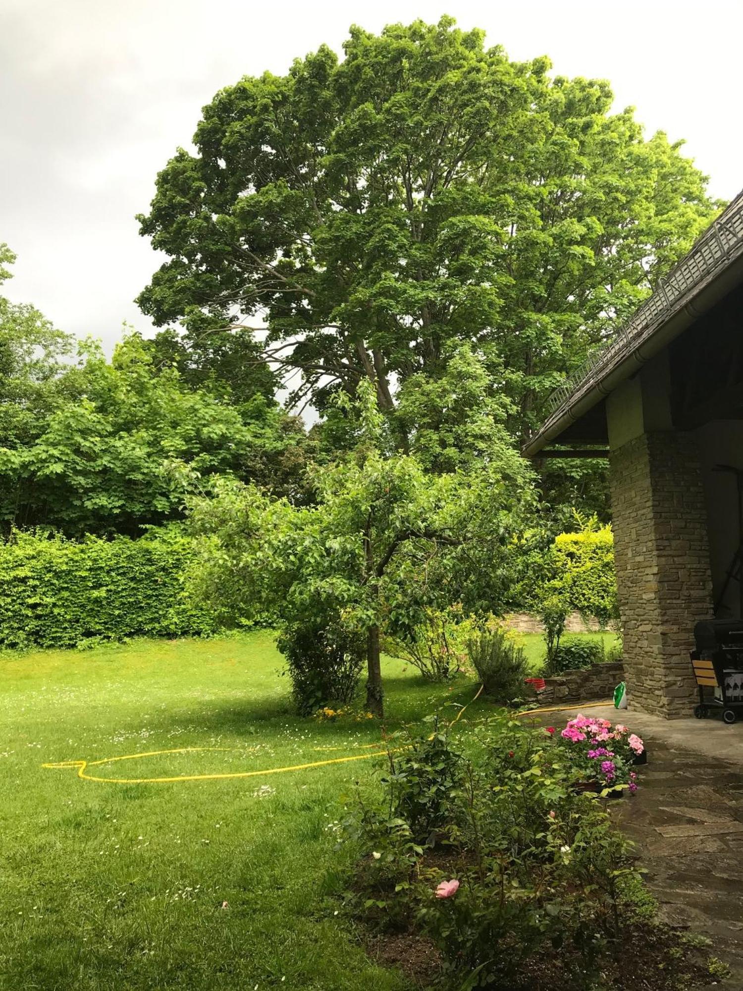 Apartmán Landhaus Am Kurpark Baden Exteriér fotografie